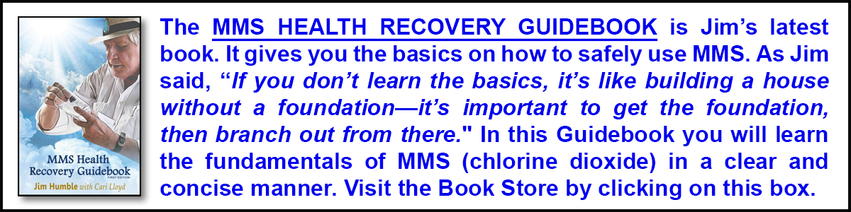 Book – The MMS HEALTH RECOVERY GUIDEBOOK – Image